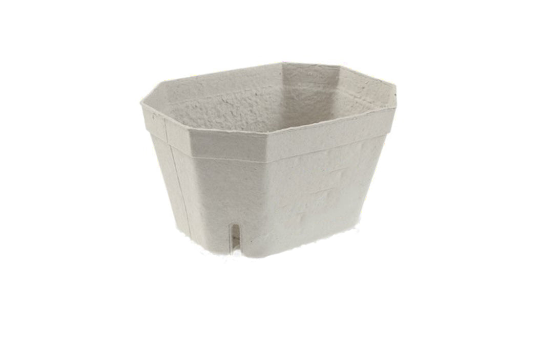 FRUPAK 95903 1000g Punnet 206x135x108mm 222/ctn