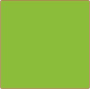 Paper Labels Plain 100x100mm Fluoro Green 500/roll