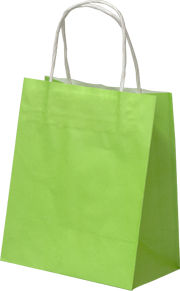 Paper Twist Handle Carry Bags 200x170x100g Loud Lime 250/ctn