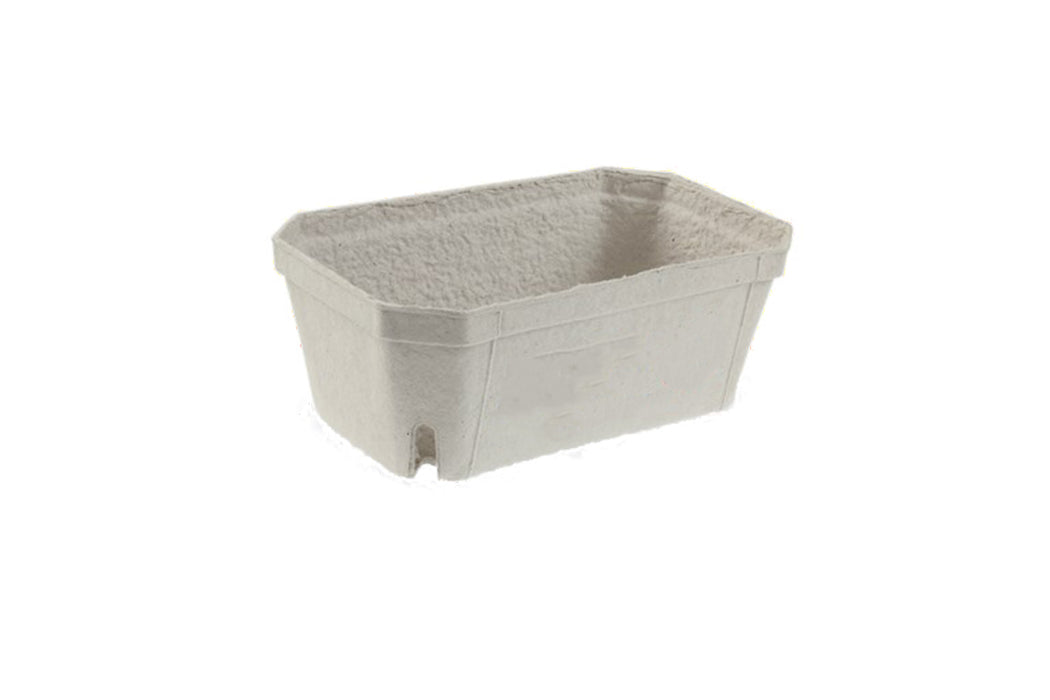FRUPAK 95902 500g Punnet 188x102x72mm 500/Ctn
