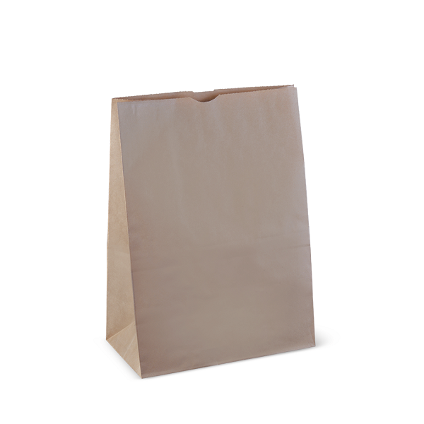 Checkout Bags Small 300x260x135mm 250/pkt