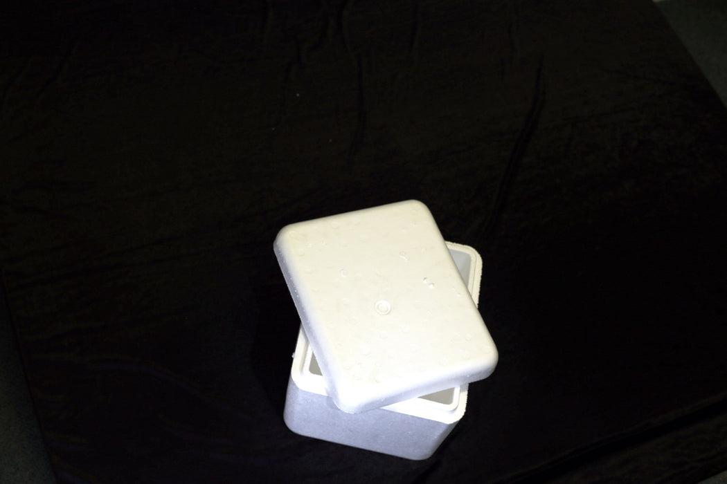 Chilly Bin BM90NH Midi Box With Lid 10 litre 12/bdl